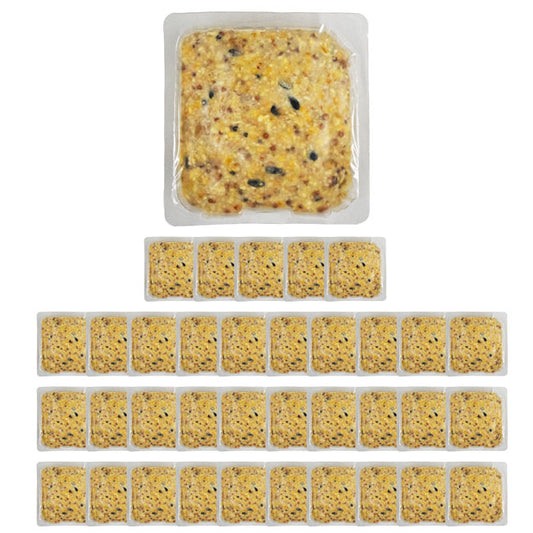 Heath Bird Works Orange Suet Cakes, 11 oz., Pack of 36