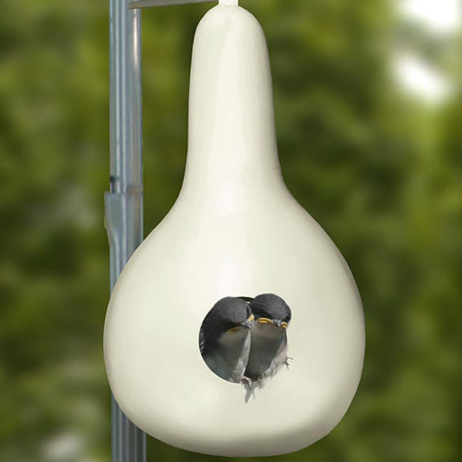 Heath Purple Martin Gourds, Pack of 4