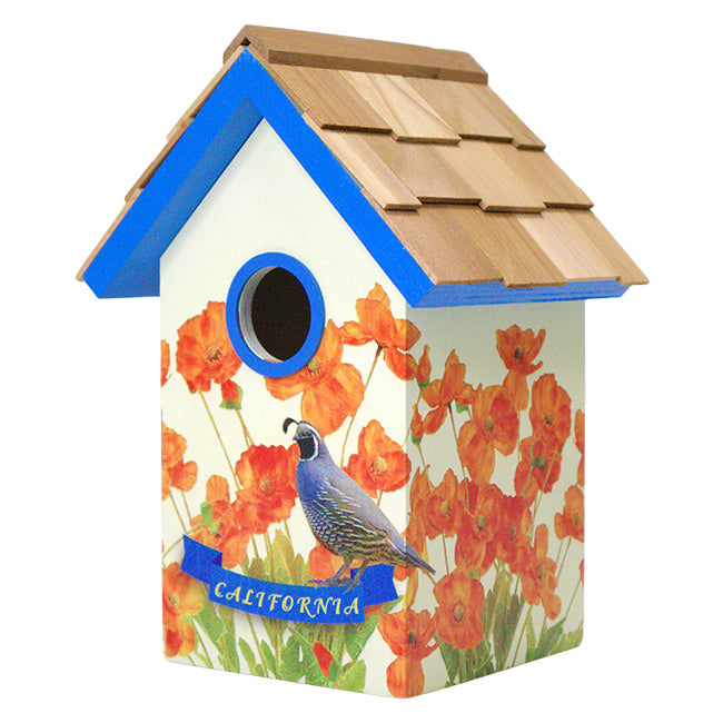 Home Bazaar California Bird Cottage, Orange Blossom