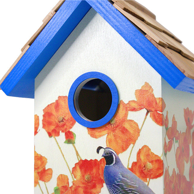Home Bazaar California Bird Cottage, Orange Blossom