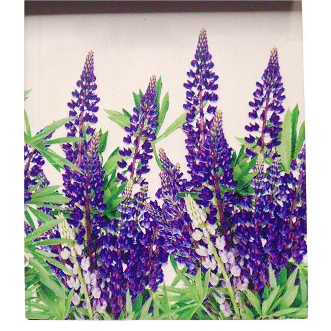 Home Bazaar Bird Cottage for Texas, Mockingbird & Bluebonnet