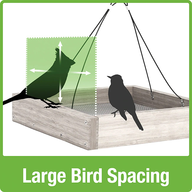 Nature’s Way Bamboo Tray Feeder with Bluebird Nuggets