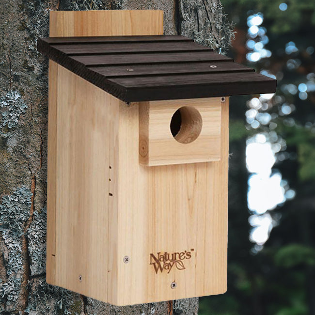 Nature's Way Cedar Bluebird Houses w/Viewing Windows, 3 Pack
