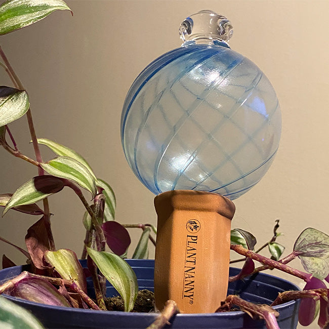 Plant Nanny Spiral Watering Globes, 12 oz., Blue, Pack of 2