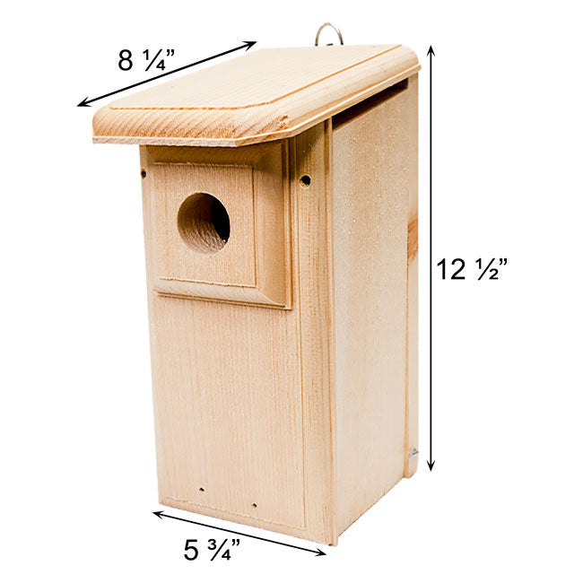 Observation Eastern Bluebird Houses with Poles Kit