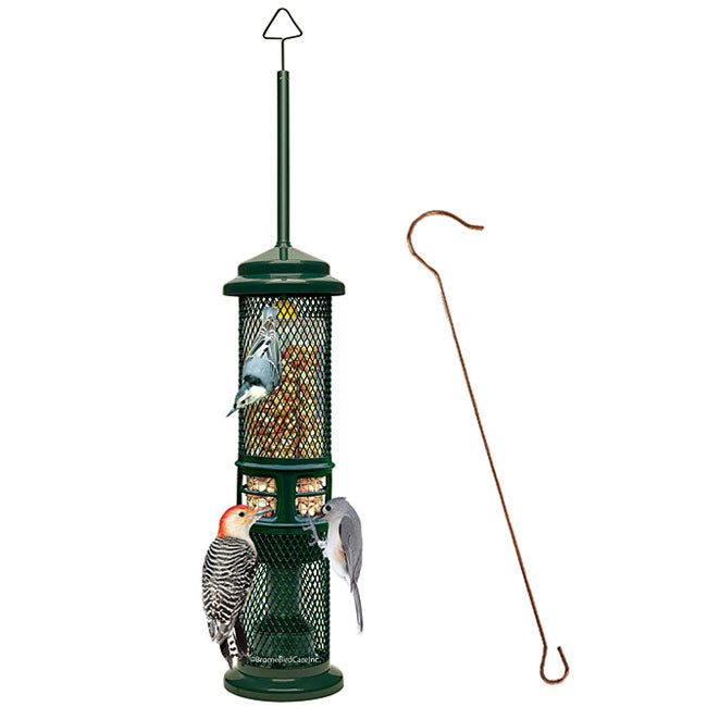 Squirrel Buster Squirrel Proof Nut Feeder with Branch Hook