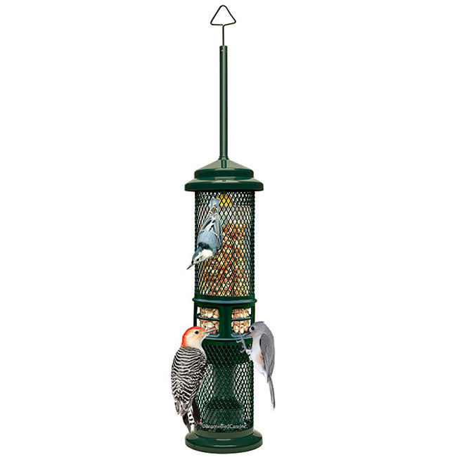 Squirrel Buster Squirrel Proof Nut Feeder with Branch Hook