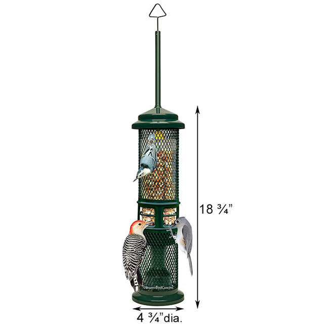 Squirrel Buster Squirrel Proof Nut Feeder with Branch Hook