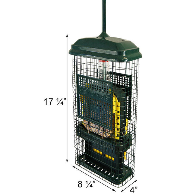 Brome Squirrel Buster Suet Feeder & Peanut Butter Suet Cakes