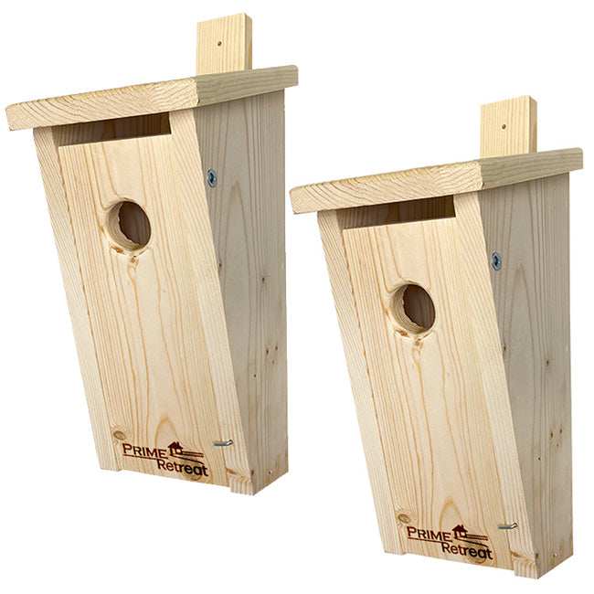 Slant-Front Bluebird House by Prime Retreat