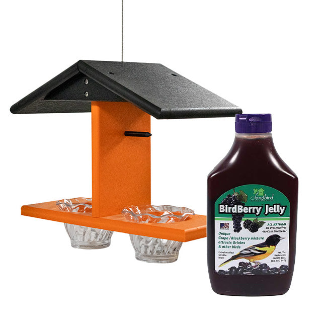 Recycled Plastic Double Oriole Feeder with Jelly Kit