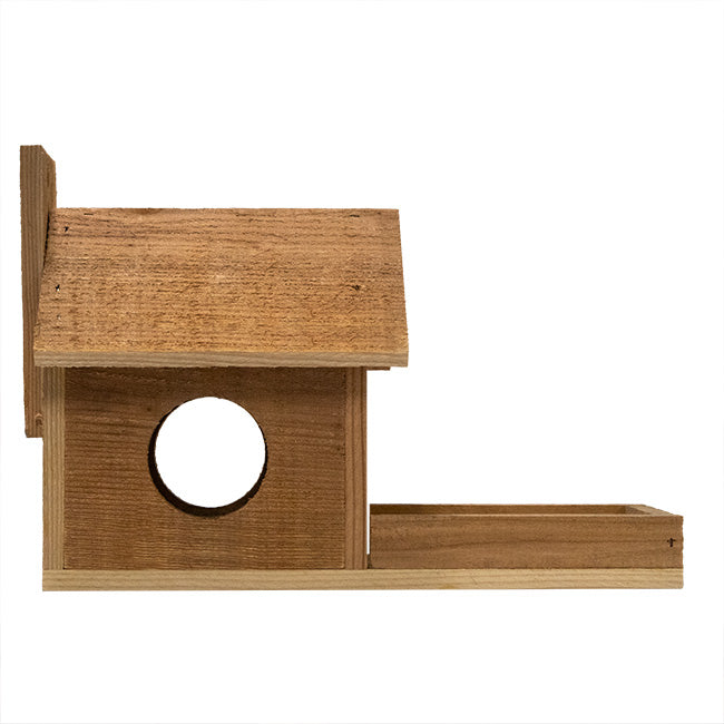 Cedar Squirrel Feeder by Prime Retreat