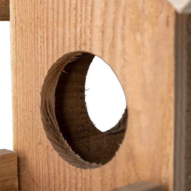Cedar Squirrel Feeder by Prime Retreat