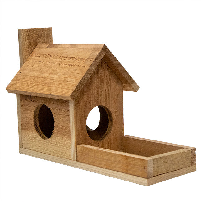 Cedar Squirrel Feeder by Prime Retreat