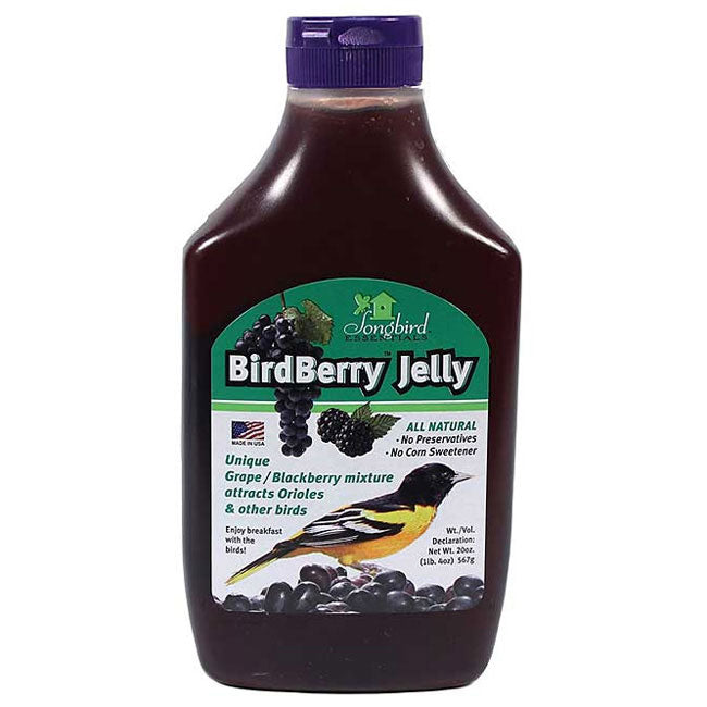 Metal Six Station Oriole Feeder with Nectar and Jelly Kit