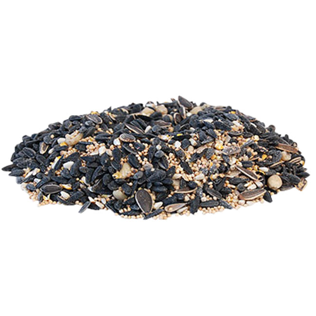 Magnet Squirrel Resistant Feeder w/5 lbs. Divine Blend Seed
