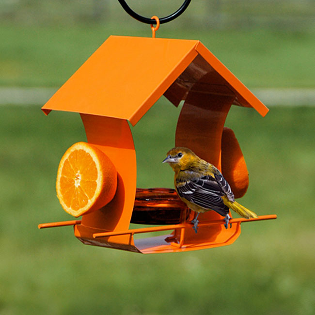 Metal Six Station Oriole Feeder with Nectar and Jelly Kit