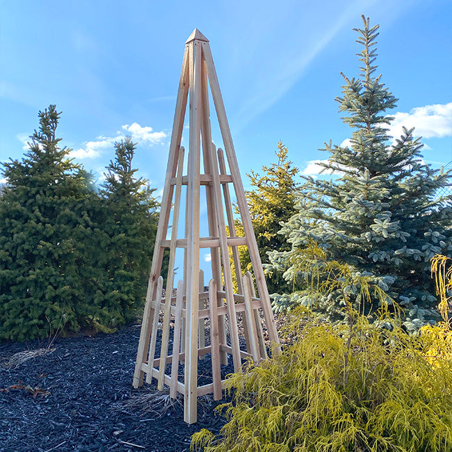 Cedar Large Sized Pyramid Trellis by Prime Retreat, 72"H