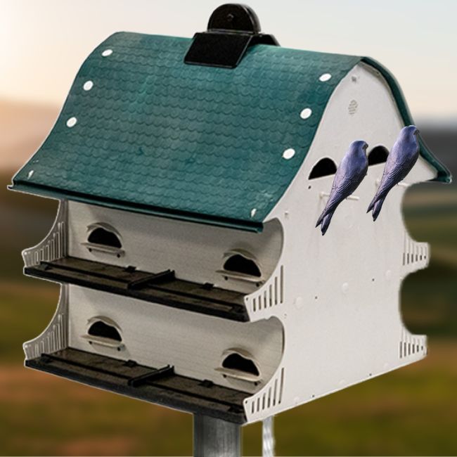 American Barn Martin House and Pole Package by Prime Retreat