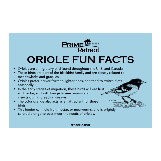 Metal Six Station Oriole Feeder Kit by Prime Retreat
