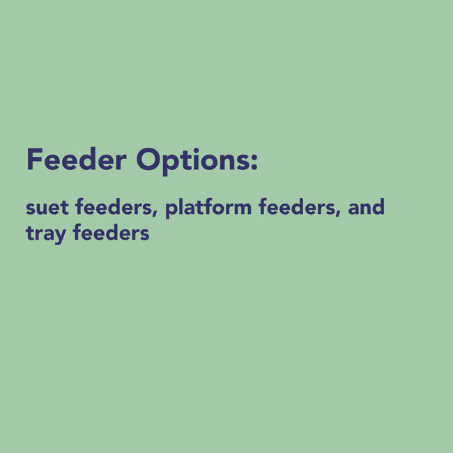 3-Month Suet Subscription, 12 Peanut Butter Suet Cakes