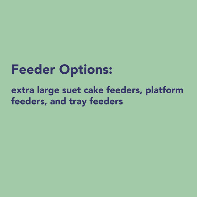 3-Month Suet Subscription, 8 Large Peanut Butter Suet Cakes