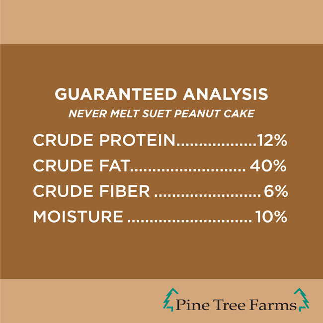 Pine Tree Never Melt Peanut Suet Cakes, 12 oz., Pack of 24