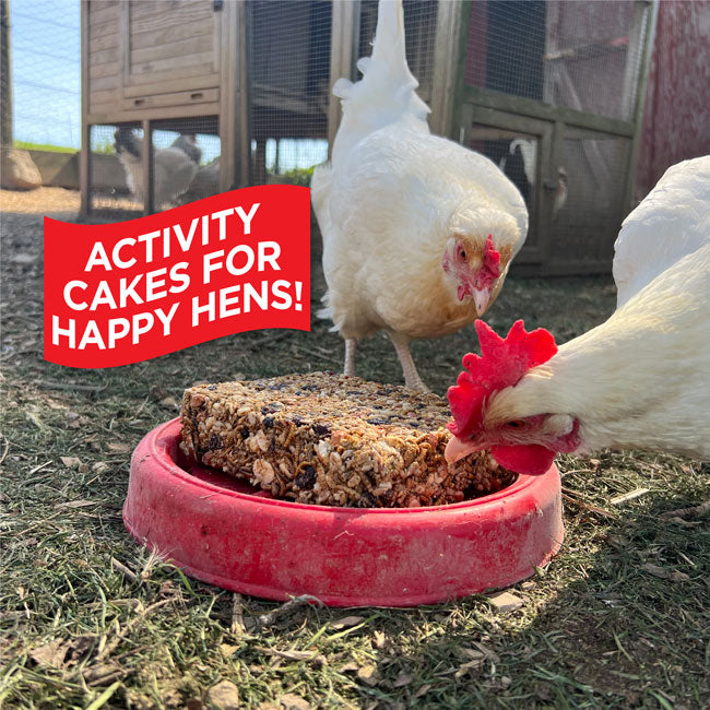 Pine Tree Hen Pecked Mealworm Poultry Cakes, 16 Pack