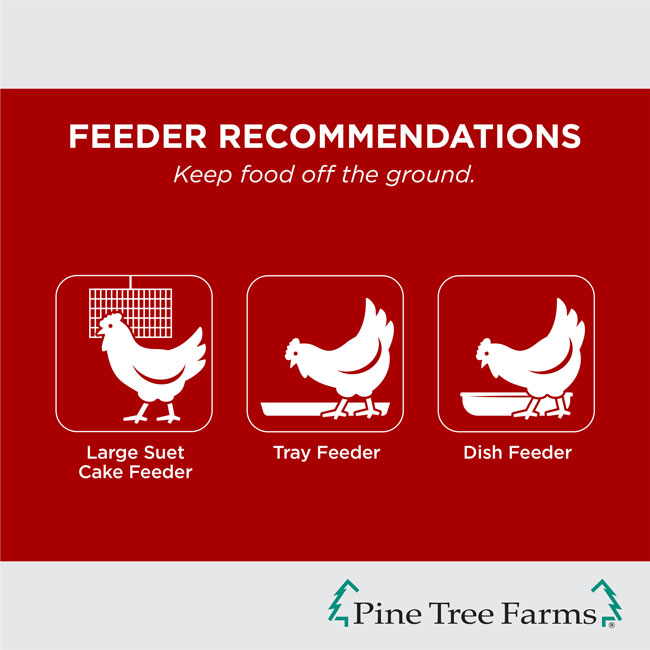 Pine Tree Hen Pecked Mealworm Poultry Cakes, 16 Pack