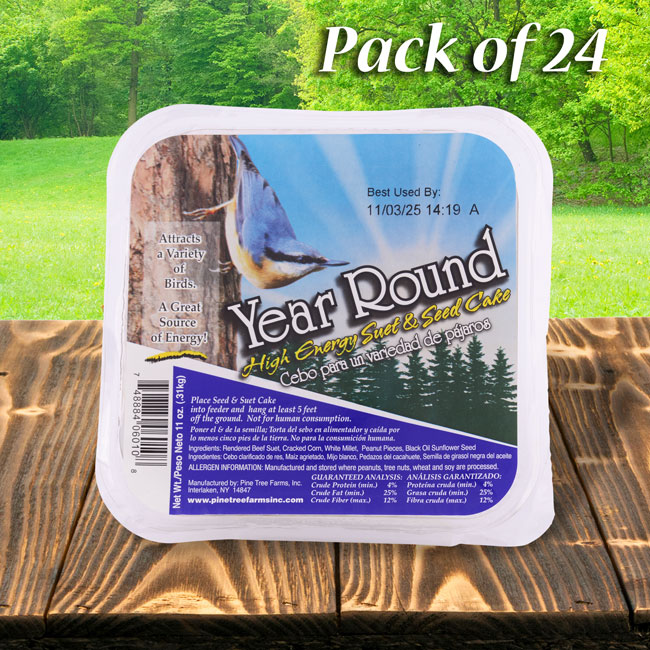 Pine Tree Year Round Hi-Energy Suet Cakes, 11 oz., 24 Pack