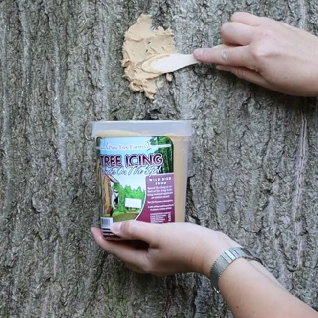 Pine Tree Farms Tree Icing, 1.75 lbs., Pack of 16