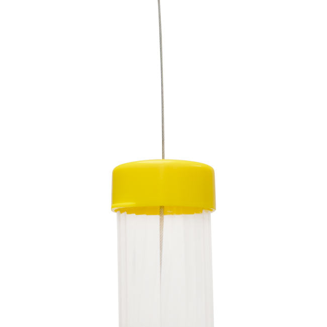 S&K Tornado Clear Collapsible Finch Feeder & Thistle Seed
