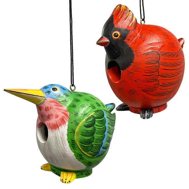 Songbird Cardinal and Hummingbird Gord-O Bird House Kit