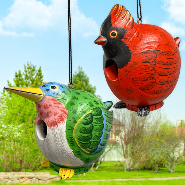 Songbird Cardinal and Hummingbird Gord-O Bird House Kit