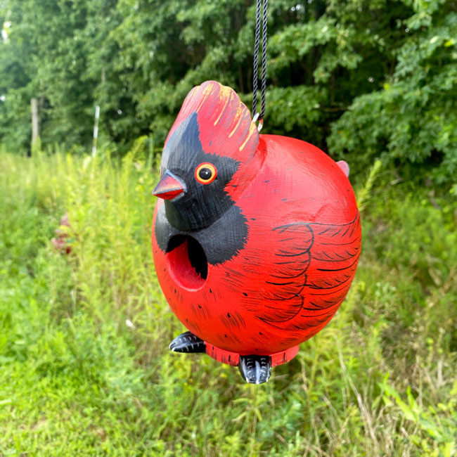 Songbird Cardinal and Hummingbird Gord-O Bird House Kit