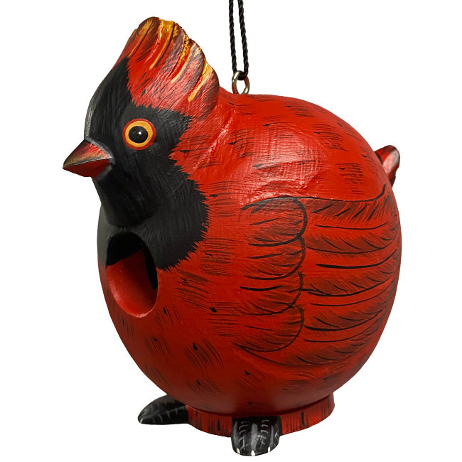 Songbird Cardinal and Hummingbird Gord-O Bird House Kit