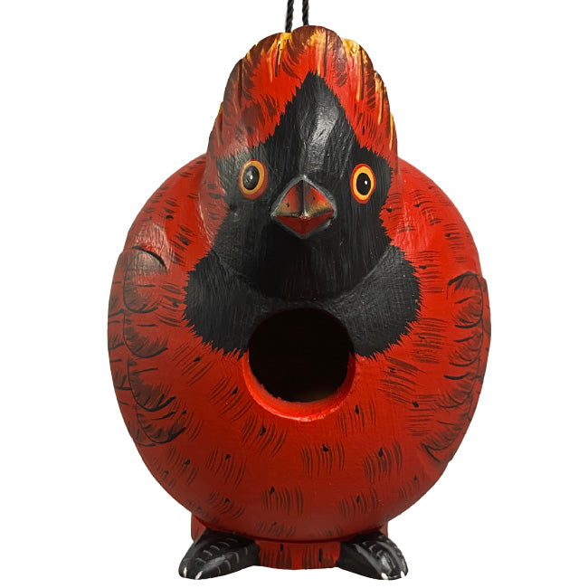 Songbird Cardinal and Hummingbird Gord-O Bird House Kit