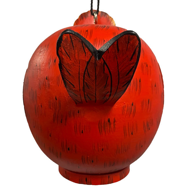 Songbird Cardinal and Hummingbird Gord-O Bird House Kit