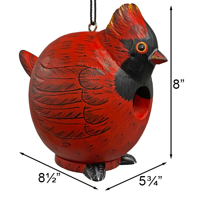 Songbird Cardinal and Hummingbird Gord-O Bird House Kit