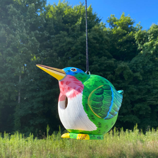 Songbird Cardinal and Hummingbird Gord-O Bird House Kit