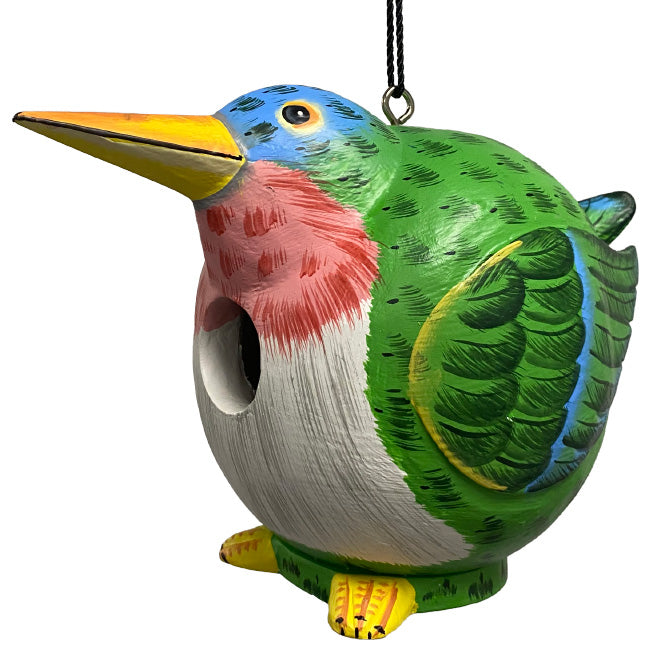 Songbird Cardinal and Hummingbird Gord-O Bird House Kit