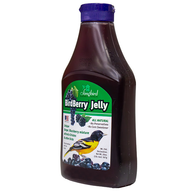 Going Green Oriole Feeder w/Jelly & Nectar by Prime Retreat