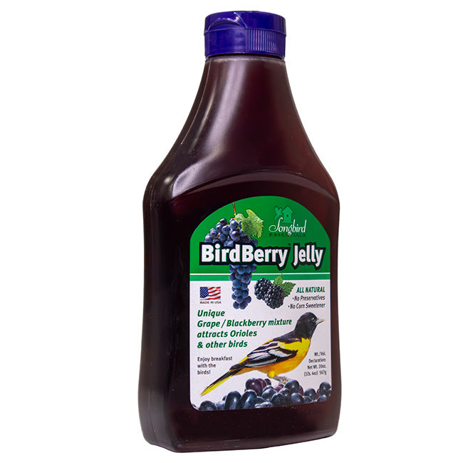 Recycled Plastic Double Oriole Feeder with Jelly Kit
