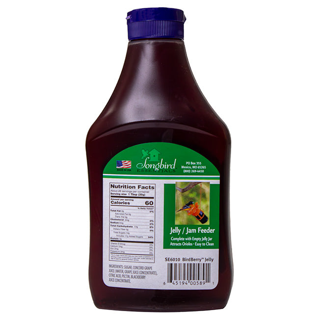 Metal Six Station Oriole Feeder with Nectar and Jelly Kit