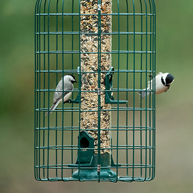 Stokes Squirrel Resistant Caged Bird Feeders, Pack of 2