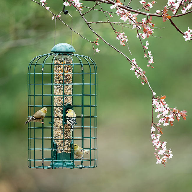 Stokes Squirrel Resistant Caged Bird Feeders, Pack of 2
