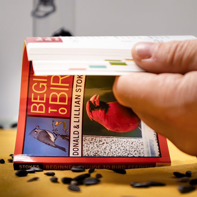 Good Directions Time Flies Bird Feeder with Hanger and Book