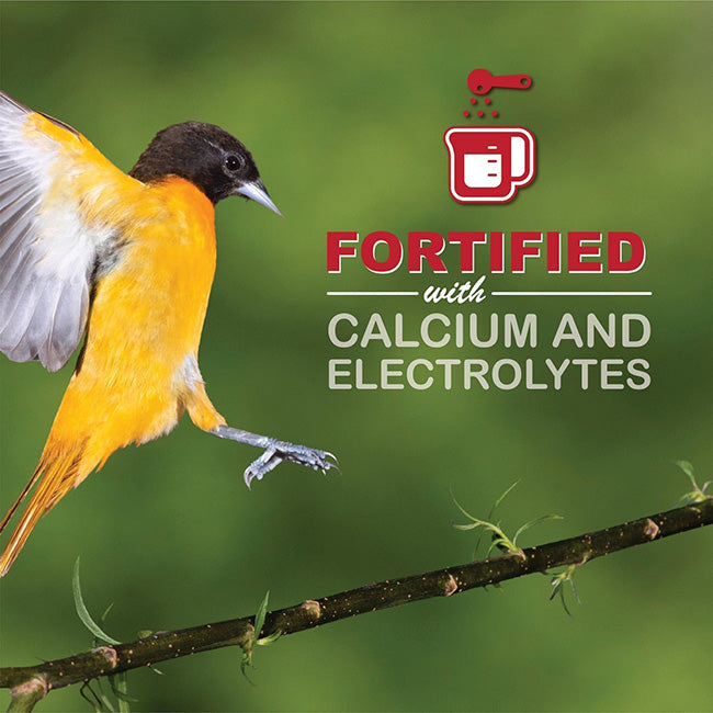 Going Green Oriole Feeder w/Jelly & Nectar by Prime Retreat