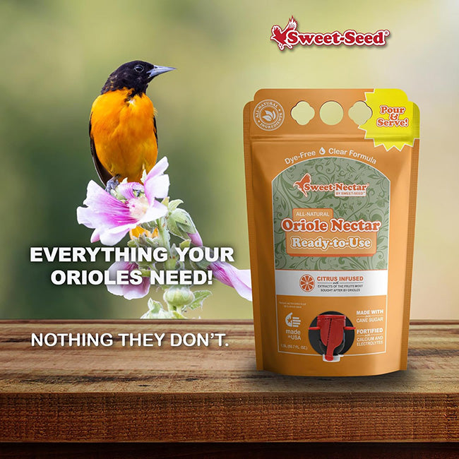 Aspects Oriole Feeder and Nectar Package by Prime Retreat