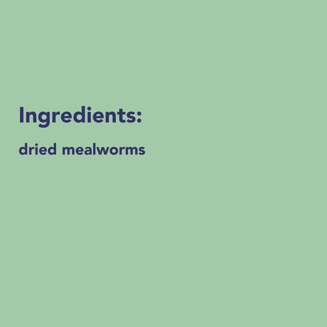 Wildlife Sciences Dehydrated Mealworms, 42 oz.